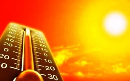 دمای هوای استان بوشهر از ۵۰ درجه عبور می‌کند