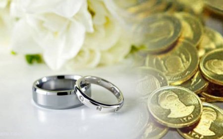 نیکزاد: پرداخت ۱۴ سکه به معنای بخشش مابقی مهریه نیست