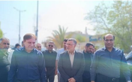 وزیر بهداشت وارد عسلویه شد