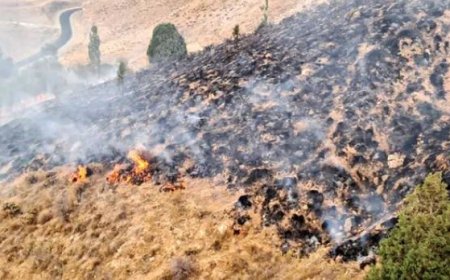 آتش‌سوزی پارک ملی بمو مهار شد