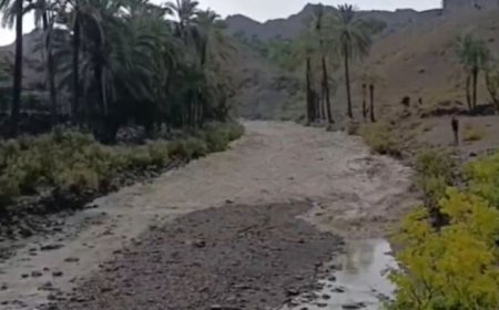 فیلم| لحظات دیدنی از سرازیر شدن سیلاب تابستانی در بشاگرد هرمزگان