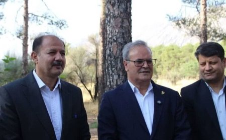ظرفیت میان‌جنگل فسا برای تبدیل به قطب اکوتوریسم علمی کشور