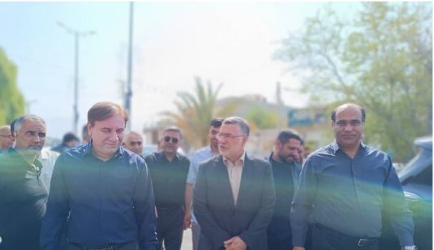 وزیر بهداشت وارد عسلویه شد
