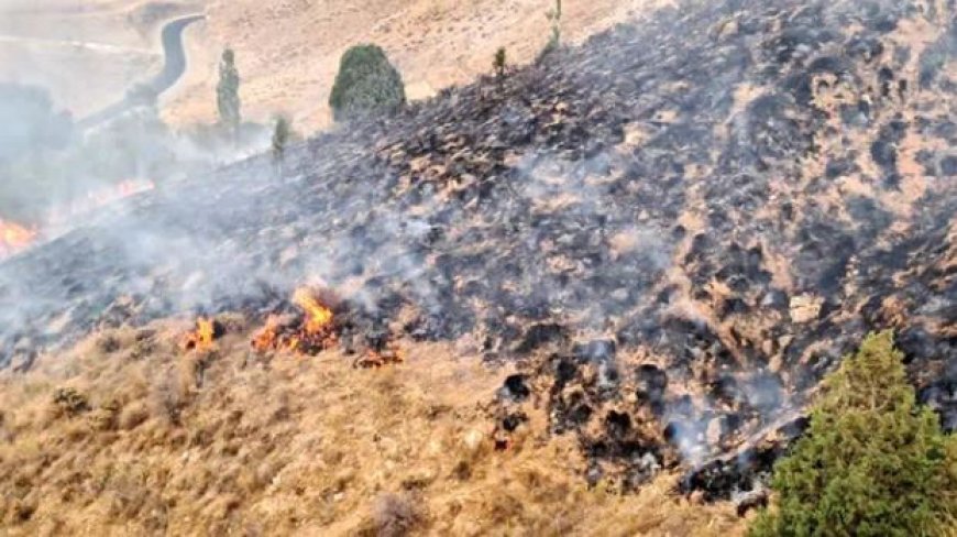 آتش‌سوزی پارک ملی بمو مهار شد