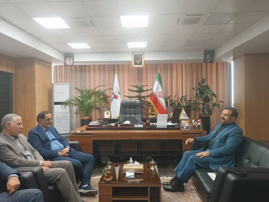 قول بنیاد شهید برای تعیین تکلیف پرونده مجروحان جنگ در فارس