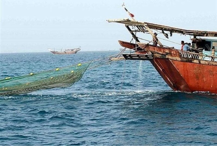 صید میگو در بوشهر ۳۰ درصد کاهش یافت