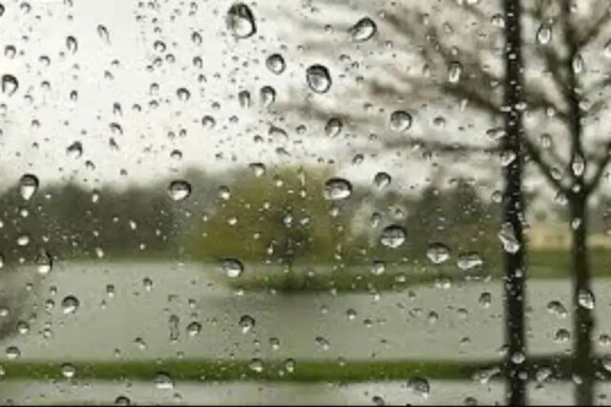 افزایش ۸۰ درصدی بارندگی فارس در سال زراعی جاری