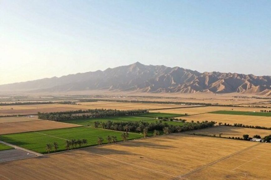 آزادسازی اراضی ملی در بوشهر؛ ۳۲ پرونده تشکیل شد