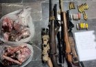 شکار غیرمجاز دو قوچ و میش وحشی در میناب متوقف شد