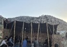 یک روز با عشایر سرگچینه؛ جایی که نوای نی با صدای مطالبه درهم آمیخت