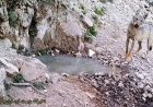 «پسر تالاب»؛ روایتی از پیوند انسان، طبیعت و بحران آب در فارس