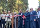 شیراز سبزتر و صاحب مقصدهای جدید گردشگری شد