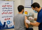 ۱۲ هزار دوز واکسن هاری در هرمزگان تزریق شد