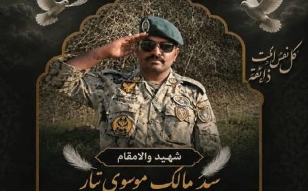 تکاور بهمئی در عملیات مقابله با پهپاد متجاوز به شهادت رسید