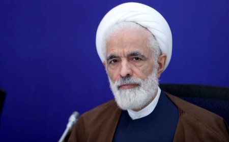 دستور انصاری برای مستندسازی و اقدام حقوقی حمله موشکی آمریکا به مراسم عروسی در سیریک