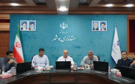 بررسی ۱۰ پرونده تغییر کاربری و طرح‌های تولیدی در بوشهر