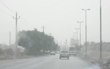 غبار و مه صبحگاهی مهمان بوشهر تا یکشنبه