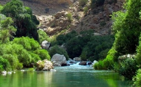 تنگ بستانک کجاست؟ سفر تابستانی به «بهشت گمشده» فارس