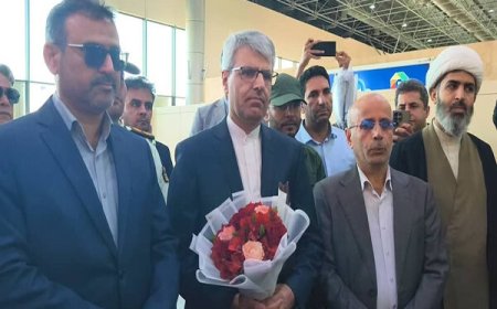 سخنگوی وزارت امور خارجه وارد لامرد شد