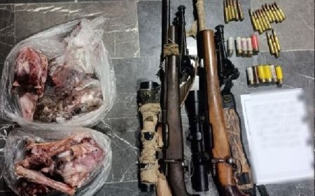 شکار غیرمجاز دو قوچ و میش وحشی در میناب متوقف شد