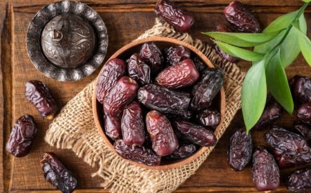 معافیت خرمای بوشهر از عوارض صادرات؛ فرصتی برای ورود به بازارهای جهانی
