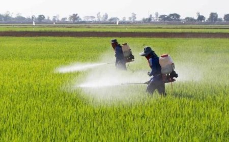 کشف ۳۰۰ لیتر سم غیرمجاز و قاچاق در فارس