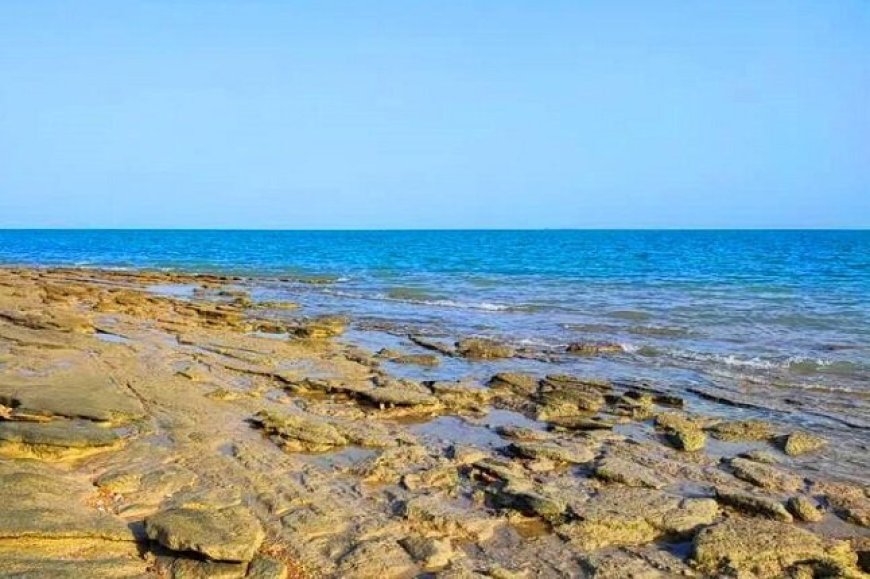 تلاطم دریا در استان بوشهر تا امشب ادامه دارد؛ آرامش نسبی از فردا