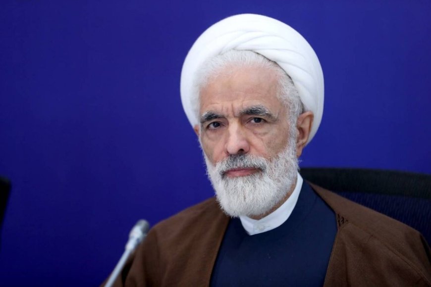 دستور انصاری برای مستندسازی و اقدام حقوقی حمله موشکی آمریکا به مراسم عروسی در سیریک