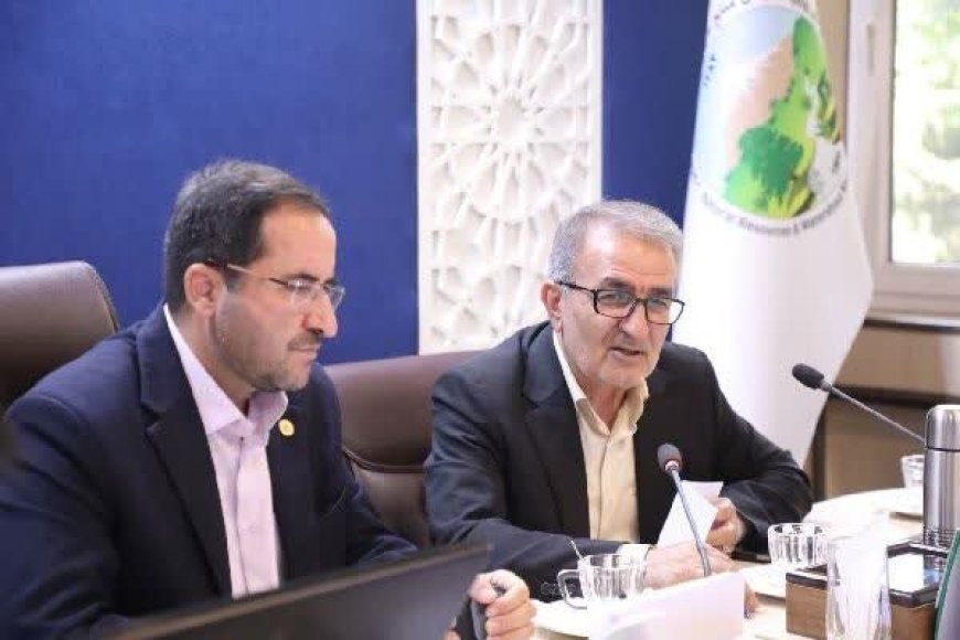 جنگلداری اجتماعی به رونق اقتصادی زاگرس کمک می‌کند