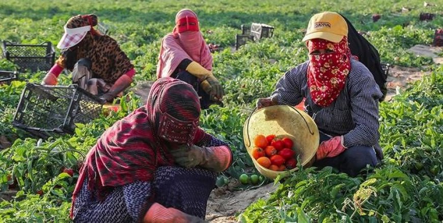 تدوین شناسنامه اقتصادی برای روستاهای هرمزگان کلید خورد