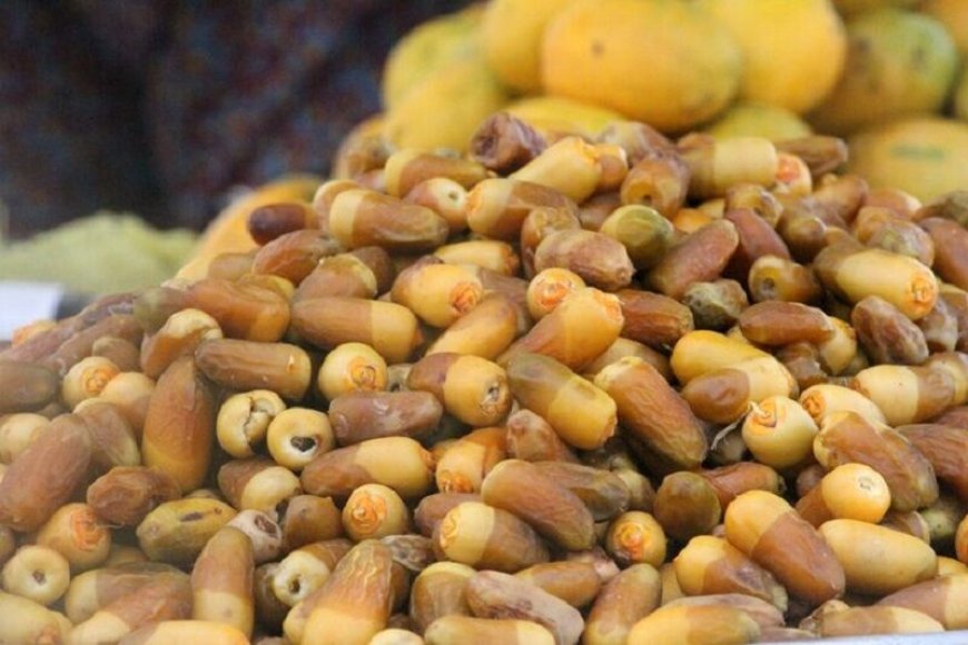 هرمزگان چهار فصل، یک گام تا تکمیل زنجیره ارزش کشاورزی