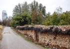هشدار زرد هواشناسی در فارس؛ رگبار باران و احتمال سیلابی شدن مسیل‌ها
