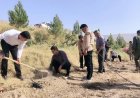 کاشت ۳۵۰۰ اصله نهال در کهگیلویه و بویراحمد آغاز شد