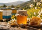 سالانه ۵۵ تن عسل در رامهرمز تولید می‌شود
