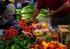 بازار روز تکمیل کننده زنجیره تولید تا مصرف است