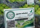 نصب کد QR روی خرما و لیموترش فارس برای نخستین بار