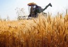 ۵ جواز تأسیس صنایع تبدیلی در خوزستان صادر شد