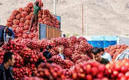 صادرات انار و انجیر استهبان مشروط به دریافت شناسه محصول شد