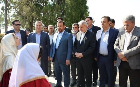 وزیر میراث فرهنگی ، گردشگری و صنایع دستی وارد شیراز شد