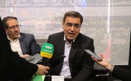 معاون استاندار فارس: سرمایه‌گذاری‌ها باید به تکمیل زنجیره تولید منجر شود