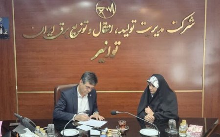 ۱۰۰ دستگاه ترانس و ناوگان جدید به شبکه برق هرمزگان اختصاص یافت