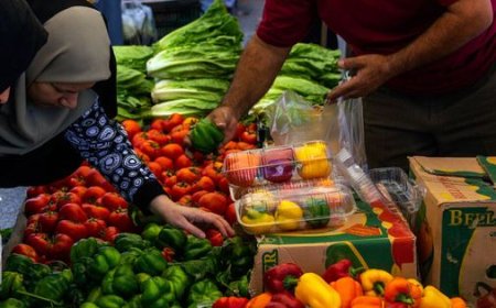 بازار روز تکمیل کننده زنجیره تولید تا مصرف است