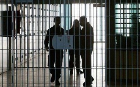 ۹ زندانی جرائم غیرعمد در هرمزگان به آغوش خانواده بازگشتند