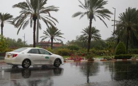 افزایش سرعت باد و احتمال رگبار در بوشهر تا اوایل هفته آینده