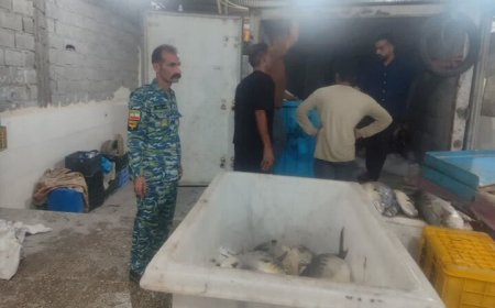 توقیف خودرو و قایق حامل بیش از ۲ تن ماهی در دیر
