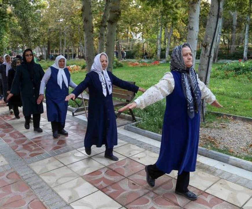 فارس با ۷۰۰ هزار سالمند؛ ضرورت توسعه محله‌های دوستدار سالمند