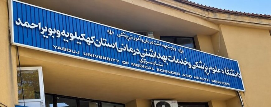 ۶ استاد دانشگاه علوم پزشکی یاسوج در میان ۲ درصد دانشمندان برتر جهان قرار گرفتند