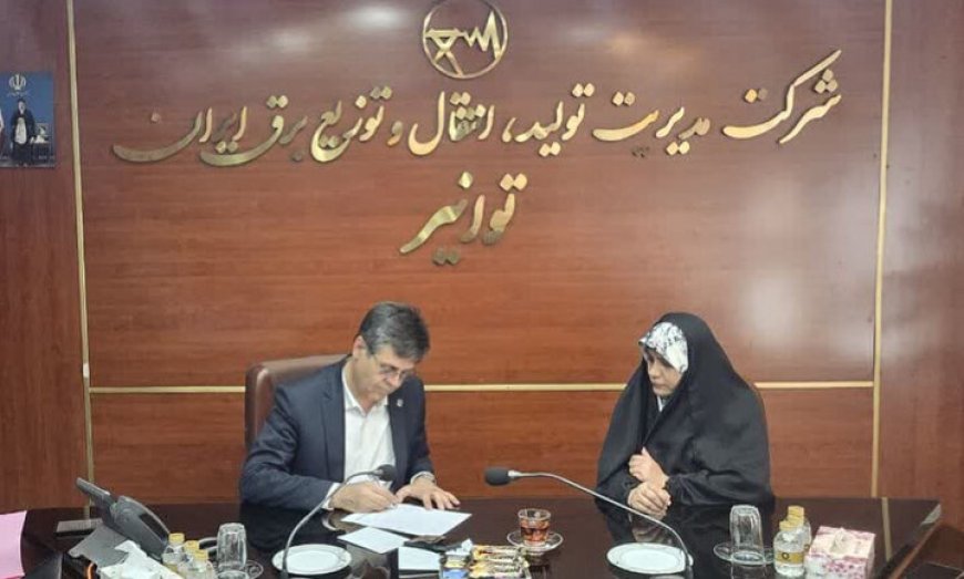۱۰۰ دستگاه ترانس و ناوگان جدید به شبکه برق هرمزگان اختصاص یافت