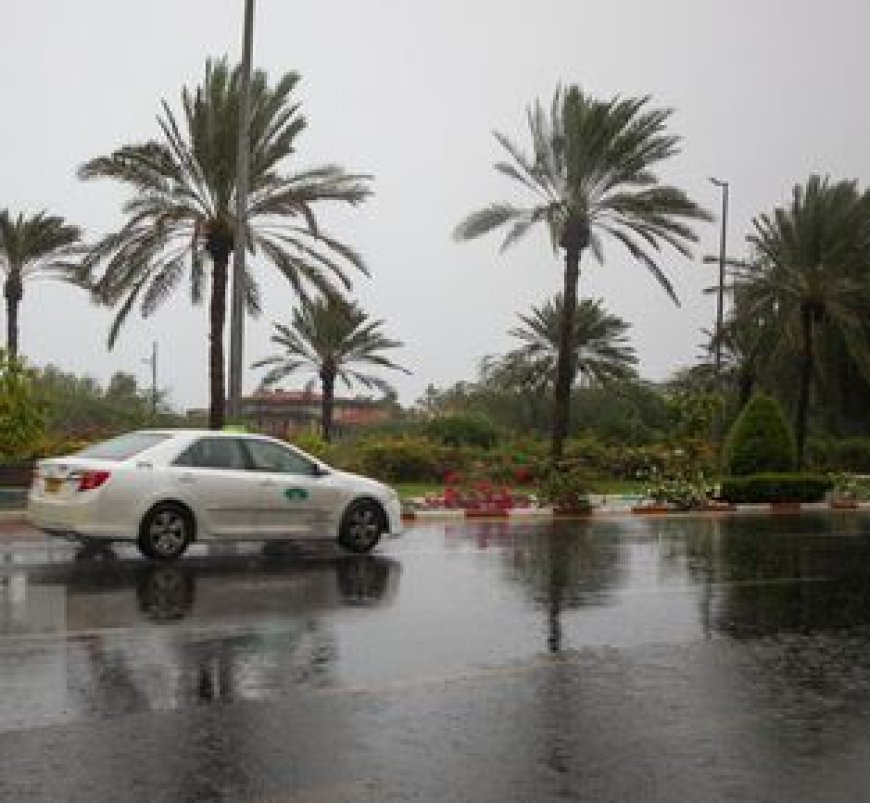 افزایش سرعت باد و احتمال رگبار در بوشهر تا اوایل هفته آینده