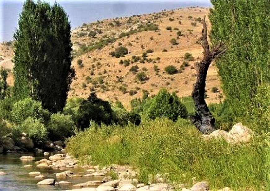 روزی برای پاسبانان طبیعت سبز
